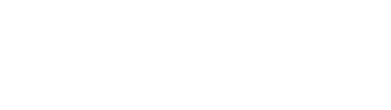 SnelUBL